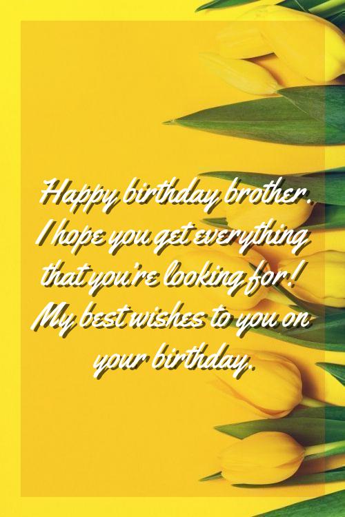 funny birthday quotes for brother